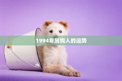 1994年属